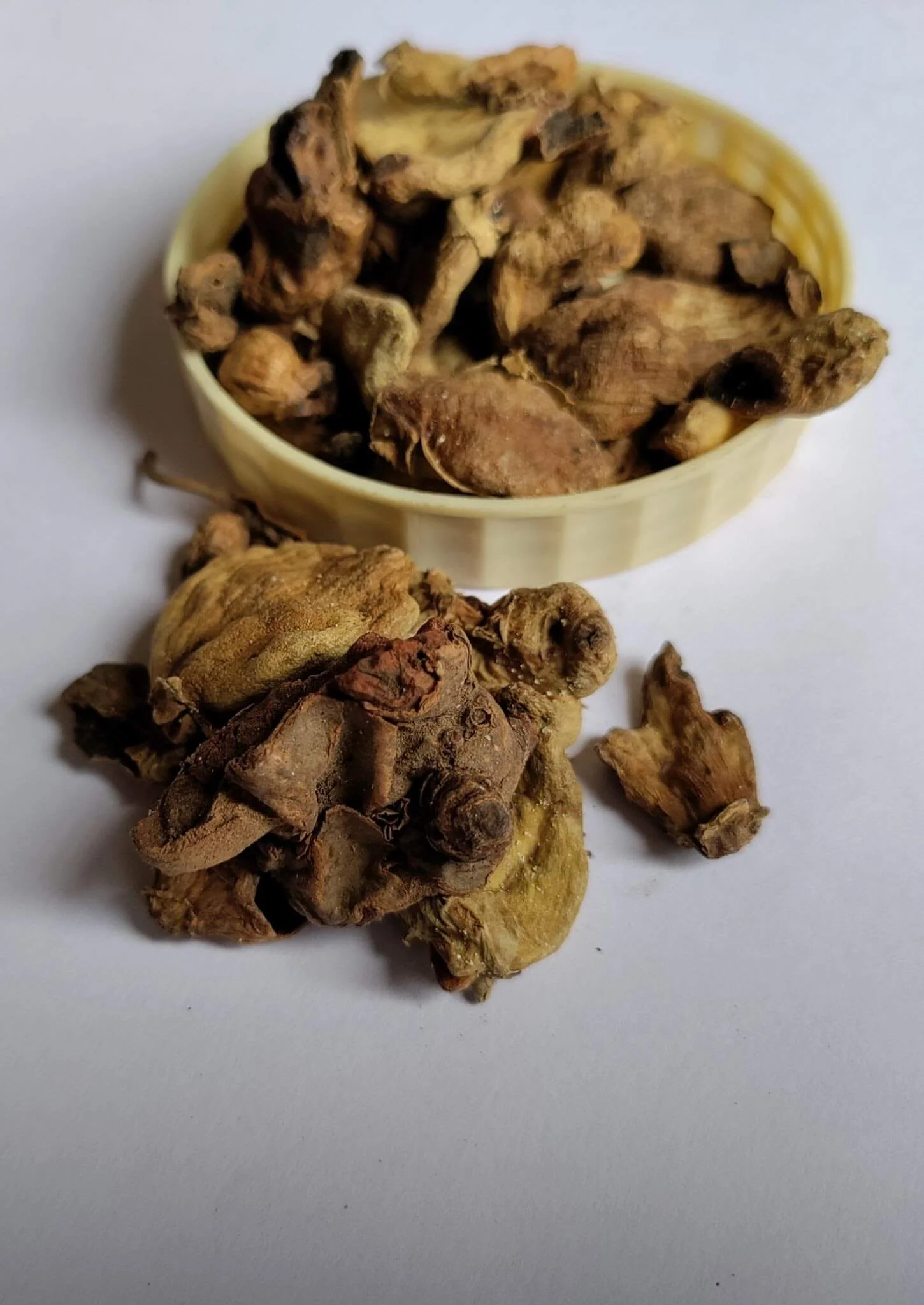 Pistacia integerrima: beneficii esențiale | Biovitality Shop