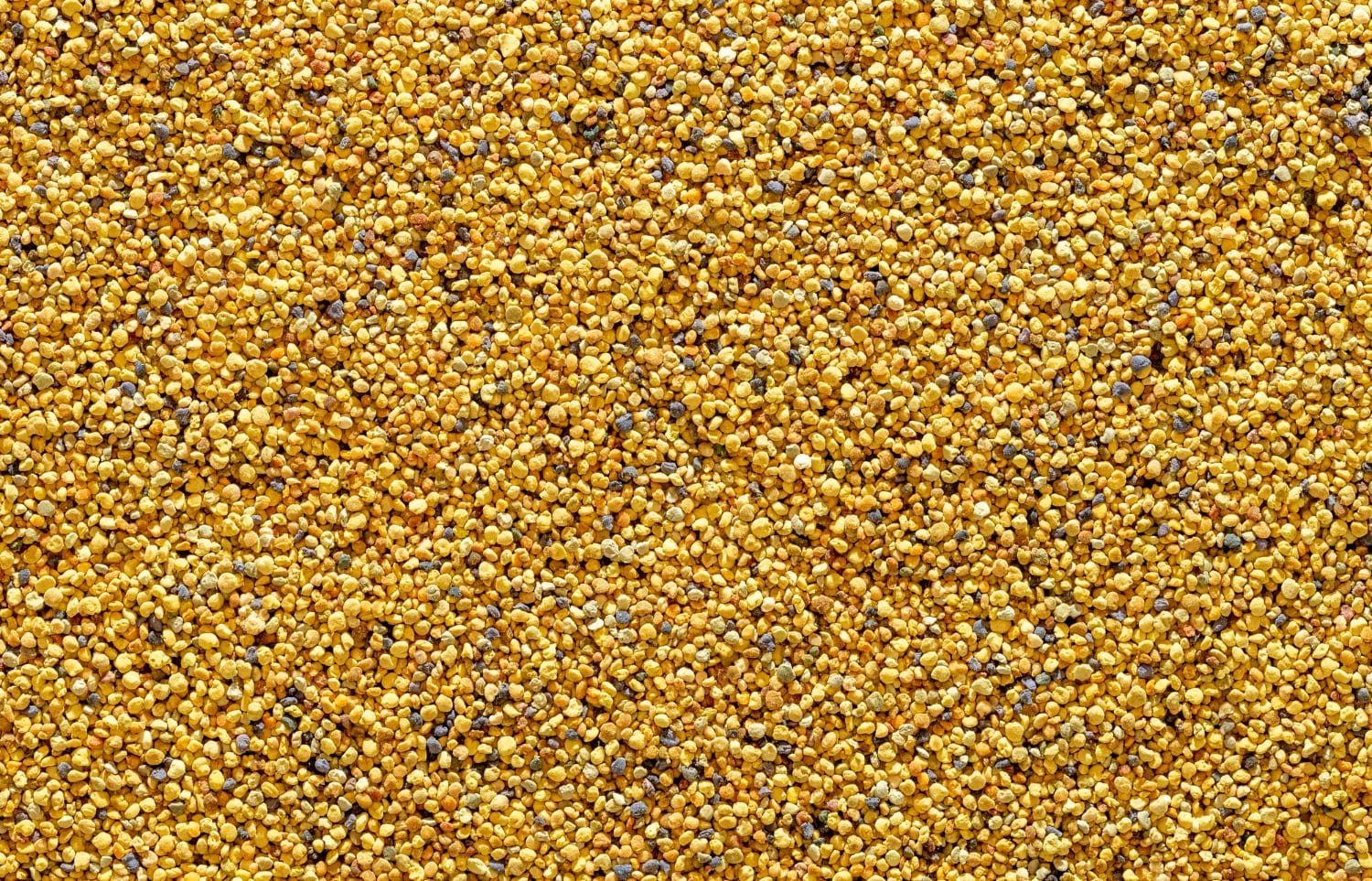 Superalimente: beneficii pentru sănătate
