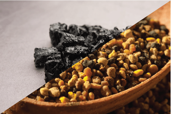 Shilajit vs Polen: Care sunt diferentele?