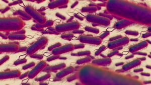 sistemul digestiv microbiom