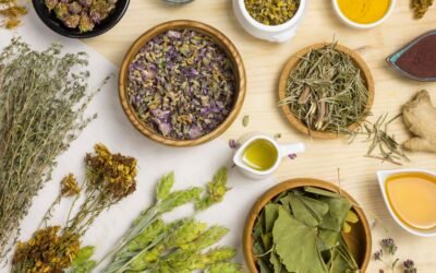 Ayurveda modernă: sănătate și vitalitate naturală