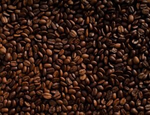 cafea plante