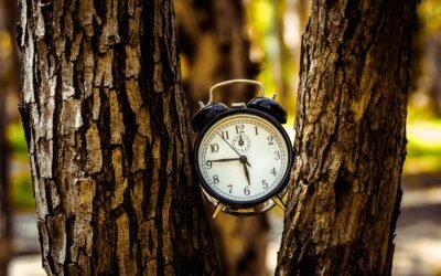 Ritmul circadian: ceasul intern al corpului tău