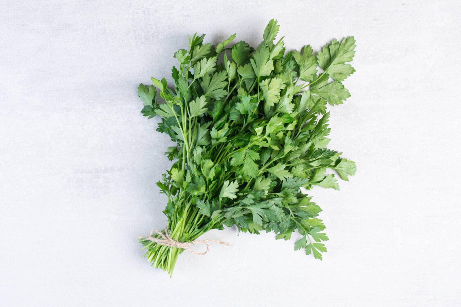 Bunch of fresh coriander leaves on stone surface
