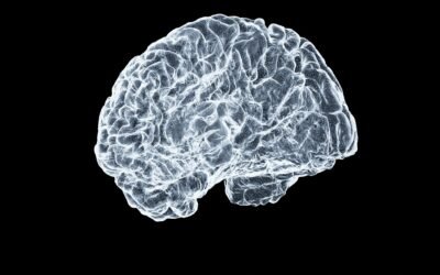Sănătatea creierului prin alimentație