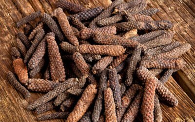 Piper Longum: Puterea unui condiment
