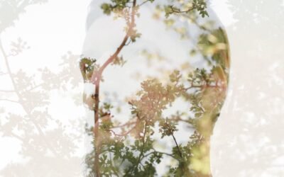 Nutriție pentru claritate mentală: Rolul Omega-3